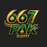 667Pak Game