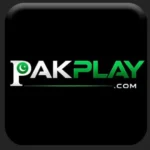 PAKPLAY Game APK Download: Best Beginner's Guide 2026 5 pakplay Game