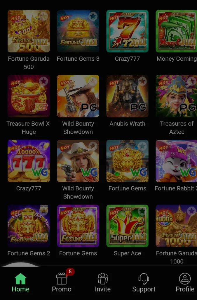 Pakplay
